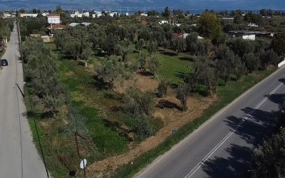 Πώληση γης, 4.500 τ.μ., Ωρωπός, 125.000 €