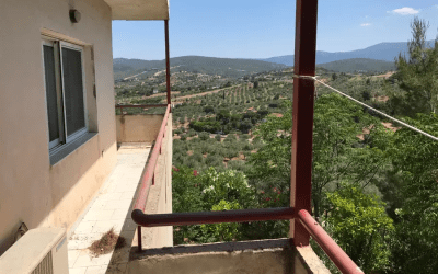 Πολλαπλά ακίνητα 266 τ.μ. Ωρωπός 160.000 €